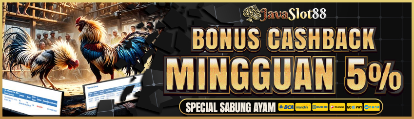 BONUS CASHBACK SABUNG AYAM