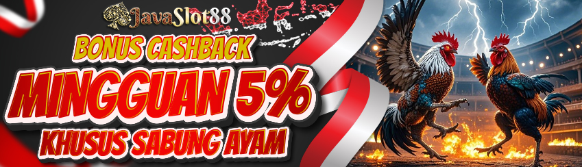 BONUS CASHBACK SABUNG AYAM